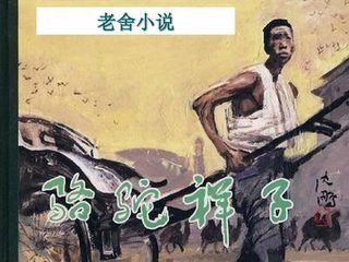 老狼宏官网